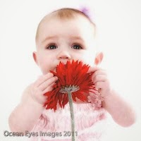 Ocean Eyes Photography by Katherine Neale 1093553 Image 1